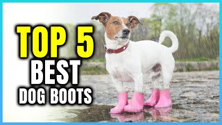 Top 5 Best Dog Boots  Extreme Reviewer [upl. by Haseefan]