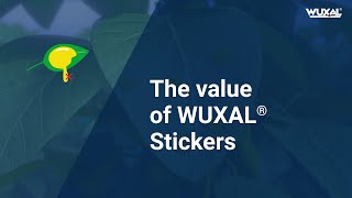 The value of WUXAL Stickers [upl. by Siwel]