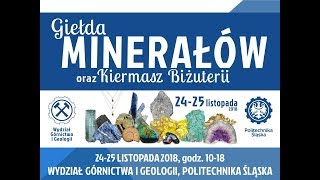 Giełda Minerałów Gliwice 2018 Politechnika Śląska [upl. by Isolt712]