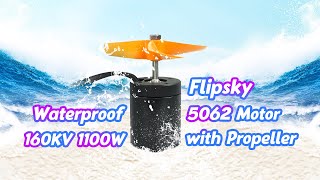 Flipsky Waterproof 5062 Motor 160KV 1100W with Propeller for Surfing Boat Underwater Thruster [upl. by Sitof]