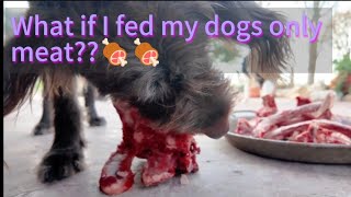 Dogs vs Raw Bones Real food for real health [upl. by Hnoj]