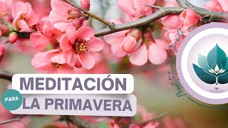 Equinoccio de Primavera Meditación para Equilibrio y Renovación [upl. by Anauqal998]