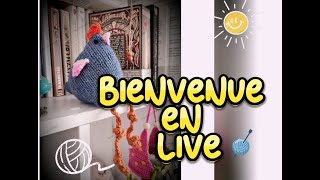 Live tricot LE premier [upl. by Iadrahs249]