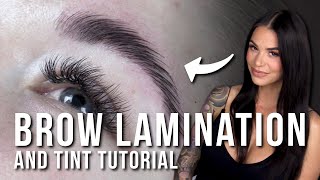 How to Do a Brow Lamination and Tint [upl. by Nodnerb]