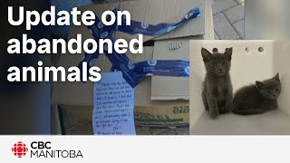 Winnipeg Humane Society update on 10 abandoned animals [upl. by Okoyik837]