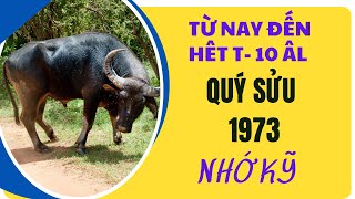 3 ĐIỀM BÁO QUAN TRỌNG tuổi Quý Sửu 1973 từ nay đến hết tháng 10 âm lịch 2024 [upl. by Nevet132]