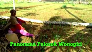 Pesona Alam Pedesaan di Pelosok Wonogiri [upl. by Aiksas]