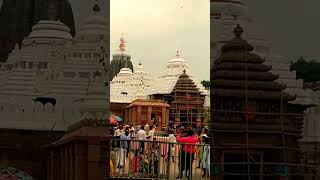 Sabu mandir re chaularu bhata hauchiodisha jagannath jayjagannathsong shortvideoviral [upl. by Yraeht803]