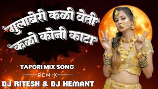 GULABERI KALI HETI KALO KONI KATA  BANJARA SAD SONG NEW Trending  Tapori Mix  DJ RITESH HEMANT [upl. by Octavie888]