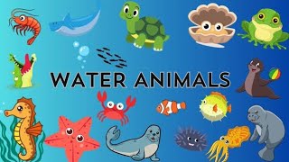 20 Water Animals Name in Hindi and English  पानी में रहने वाले जीवों के नाम  Water Animals [upl. by Evelyn985]