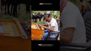 Kurubana Rani  Harmonium Music💕ShrimantPatilMusician [upl. by Ariela14]