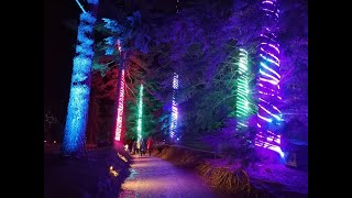 2020 Christmas light show shut down by virus [upl. by Deutsch]