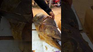 Masterful Dried Tuna Slicing Giant Fish to Gourmet Delicacy” 🐟 tuna driedfish bigfish ytshorts [upl. by Perloff]