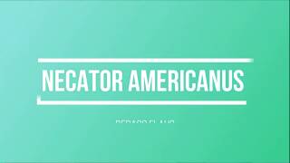 Necator americanus [upl. by Jacquenetta]