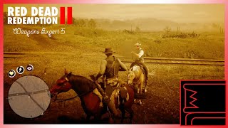 Red Dead Redemption 2 Weapons Expert 5 [upl. by Ciryl]