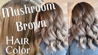 MUSHROOM BROWN HAIR TREND  Formulation For The Perfect Ashy Brown [upl. by Colleen]