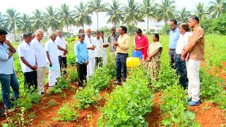 Farmers field day  IPM in Lablab bean at Karamadai village [upl. by Sousa40]