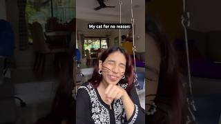 Mamoo paps ke liye pose nahi karta comedy catlover cats pets funny catvideos memes relatable [upl. by Annael774]