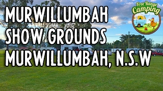 Murwillumbah Showgrounds Camping Murwillumbah NSW [upl. by Yssis]