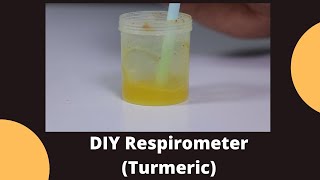 DIY Respirometer Turmeric  Class 10 Science Lab Experiment [upl. by Eniamreg]