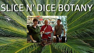 Slice n Dice Botany [upl. by Rockie275]