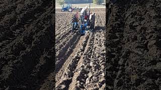 Massey Ferguson 35 Tractor at Newbury Ploughing Match  Saturday 19th October 2024 [upl. by Amling]