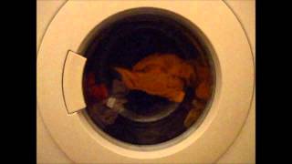 gorenje WA 583 washing machine  Cottons 40 [upl. by Lewert990]