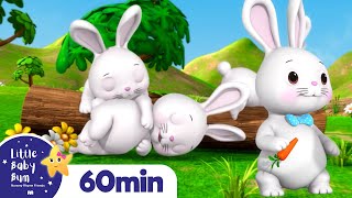 Sleeping Bunnies  LittleBabyBum  Nursery Rhymes for Babies [upl. by Lucille]