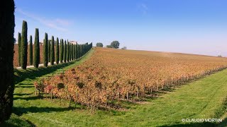 UMBRIA  LE STRADE DEL VINO  FOLIAGE  4k [upl. by Ariajay]