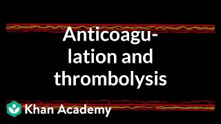 Anticoagulation and thrombolysis  Health amp Medicine  Khan Academy [upl. by Seda]