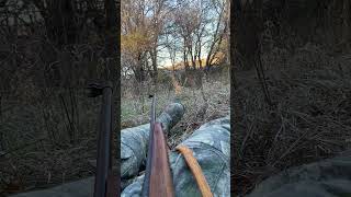 Nebraska rifle evening hunt deerhunting hunting deer nebraska wildlife nature [upl. by Anirbus]