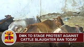 DMK to stage protest against Cattle Slaughter Ban Today in Chennai  Thanthi TV [upl. by Francklin]