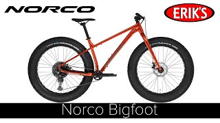 Norco Bigfoot [upl. by Linell305]