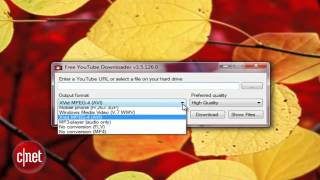 First Look Free YouTube Downloader [upl. by Laval272]