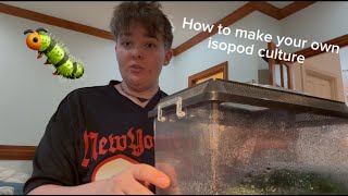 How to MAKE YOUR OWN ISOPOD CULTURES [upl. by Auof]