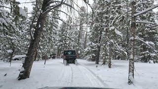 Leadville CO  UTV Tour [upl. by Acir154]