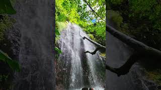 Dominica Independence tourist attractions in the Caribbean Dominica DOMINICAVIBEZ [upl. by Ive]