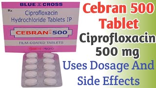 Cebran 500 mg Tablet Uses  Ciprofloxacin Tablets ip 500mg  Dosage And Side Effects [upl. by Egan]