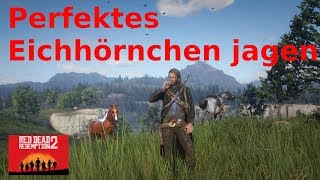 Perfektes Eichhörnchen erlegen Red Dead Redemption 2 [upl. by Ylac]