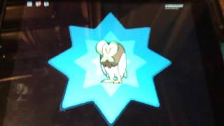 Pokemon Brick Bronze Dartrix is evolving to Decidueye EP 4 [upl. by Catina]