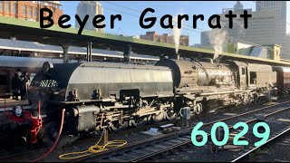 Australian Steam Trains Beyer Garratt 6029  In Review [upl. by Ynamad]