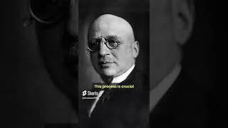 Fritz Haber The Chemist Who Changed Agriculture and Warfare science [upl. by Nerty]