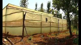 Low cost greenhouse farming [upl. by Millian179]