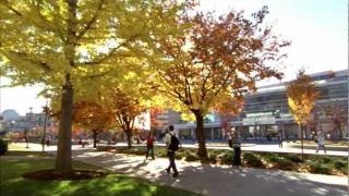 Overview of Brigham Young University [upl. by Aeikan]