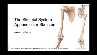 ANAT10109Appendicular skeleton [upl. by Saddler184]