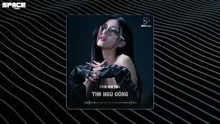 TIM NGỦ ĐÔNG REMIX  PHAN NHƯ THÙY X SPACE REMIX  ĐỪNG BƯỚC VÀO TRONG THẾ GIỚI CỦA EM REMIX [upl. by Fogg920]