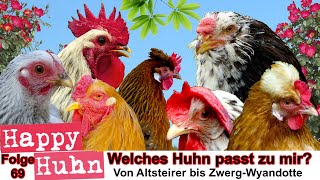 E69 Welches Huhn passt zu mir Rassewahl  HAPPY HUHN  50 Hühnerrassen im Vergleich Hühner Auswahl [upl. by Lletram]