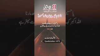 11Rabi ul Shani 2024Salam Ya Hussain 👑🌹🚩🕋🥀❤️ foryou live shorts Syedazadari14722024 [upl. by Fates]