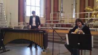 Aeriths Theme marimba amp guitar duet [upl. by Noraa]