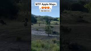 Apple Maps sold bro 😤🤬😠 [upl. by Mikkanen691]